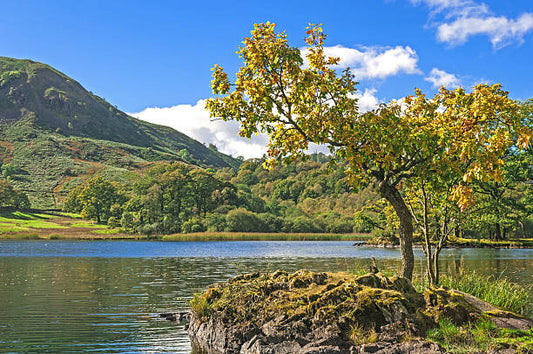 A Spring Gem: Rydal Water Circular, Lake District