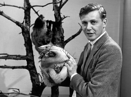 Sir David Attenborough at 100: A Lifetime Dedicated to Protecting Our Planet