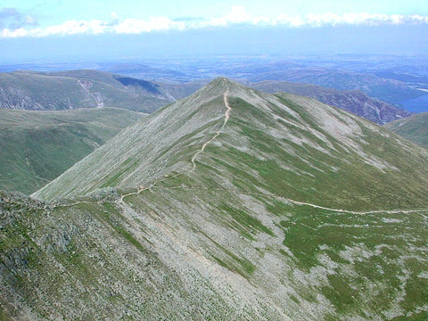 Catstye Cam.